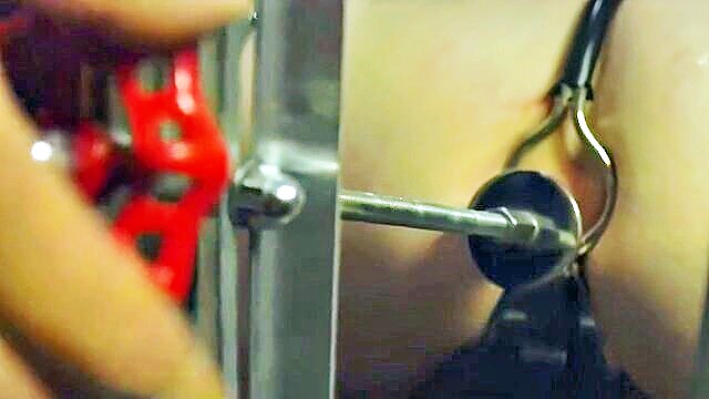 brunette, hardcore, big tits - bdsm tube slave transport video