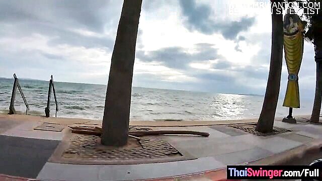 busty asian teen gives rough beach blowjob and gets fucked hard : Thai Swinger