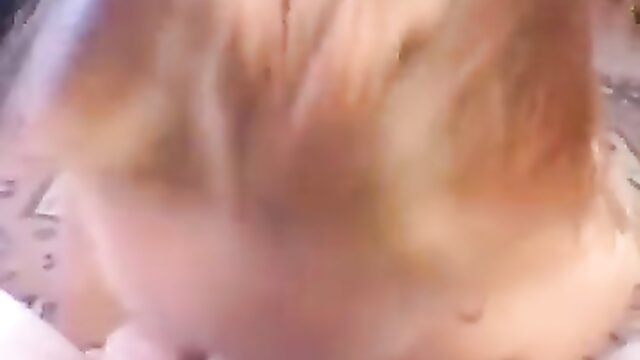 gabbies natural talents shine in homemade blowjob and cumshot video : Hardcore Porn