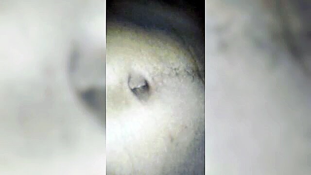 hairy, closeup, cheating - jigyasa parteti desi bhabhi jigyasa parteti cheating closeup hairy nipples pov pussy teen tits indian bhabhi desi desi hindi desi sex desi teen hindi hindi bhabhi indian teen desi bha
