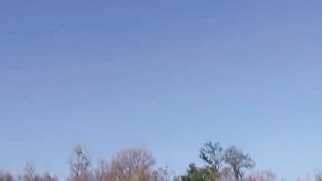 Chocolate, Shygirl - chubby african babe gets wild in safari sex orgy ama
