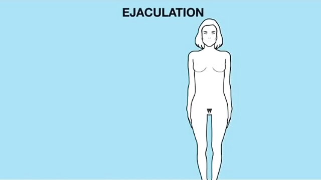 Gina G, Kink - learn the art of penetration with this cartoon guide Kink