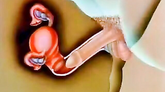 big dick, impregnation, creampie - intense intercourse and ejaculation inside a womans vagina