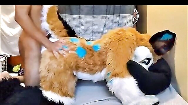 yiff, hairy, doggystyle - freyashibes furplay adventure with yiff and fursuit