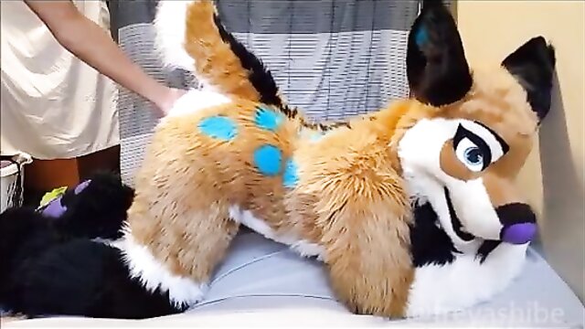 furry fun with freya shibe in doggy style action : Doggy