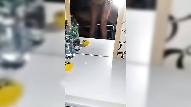 blowjob, bulgarian, milf - bulgarian housewife with a special talent   intense oral pleasure