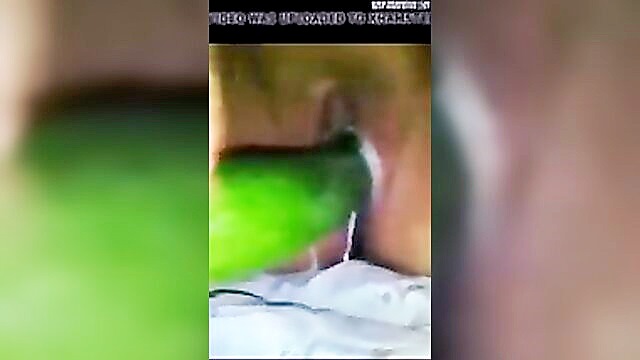 indian porn, porn video, sex video - enjoy the erotic journey of thabi na fhare da in this free indian porn video