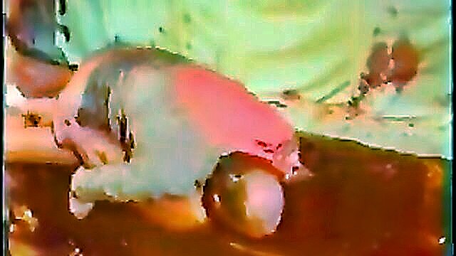porn video, orgy porn, sex video - chaos pervers free pissing porn video 3b xhamster watch chaos pervers tube sex video for free on xhamster with the superior collection of german pissing european orgy porn movie scenes