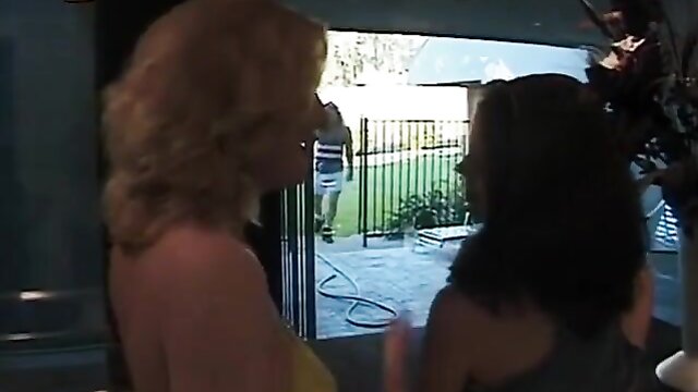 Anna Nicole Smith, Chennin Blanc, Cheyne Collins, Crystal Knight, Jacklyn Lick, Lori Michaels, Peter North, Randy West, Vince Vouyer - vintage collection of 90s pickup lines and sexy scenes from usa 566 icole