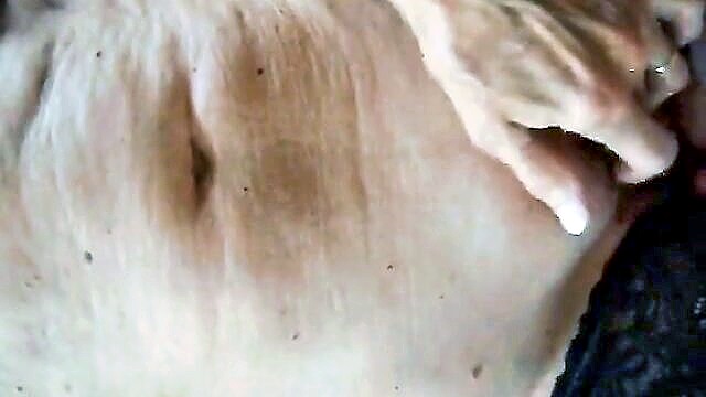 cumshot, fingering, dirty talk - wife masturbates before getting fucked she fingers her pussy and cums when i pinch her nipple then she gets fucked and spreads for my cum cumshot dirty talk fingering girl masturbating hairy stoc