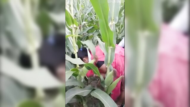 hd porn, sex for money, porn video - cheating indian husband trades sex for money in hd video