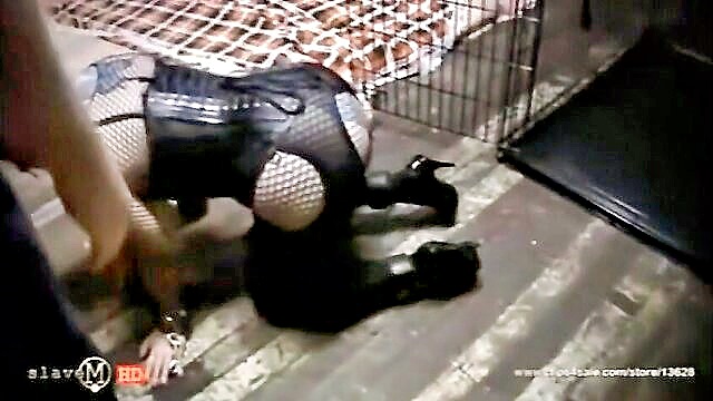 hardcore, big tits, brunette - indulge in high quality caged bdsm slave videos on bdsmxtube