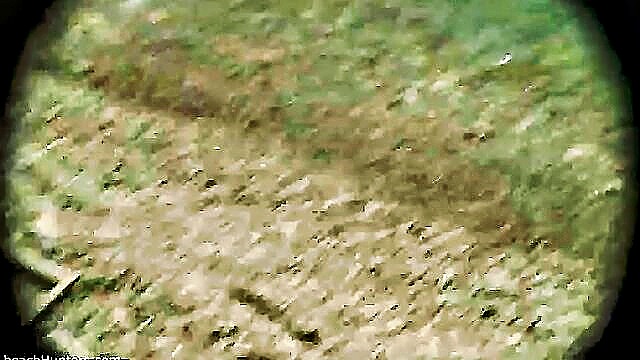fucked by, nude beach, gets fucked - mature nude beach sex