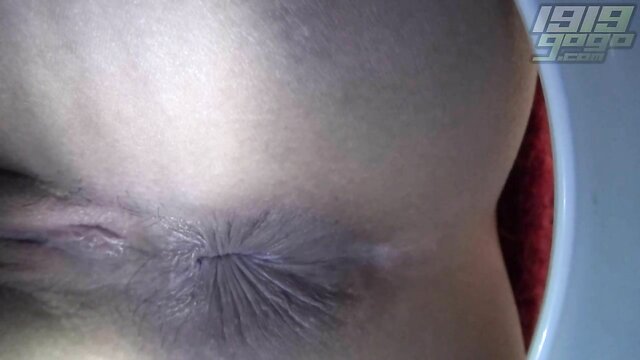 close up pussy and ass   toilet cam : Gogouncensored