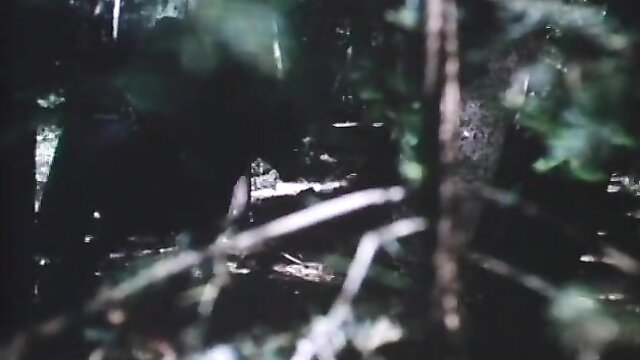 vintage outdoor porn : VCX