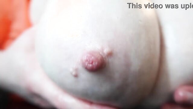 Hunnybrat - chubby cosplay velma dildo Hunnybrat