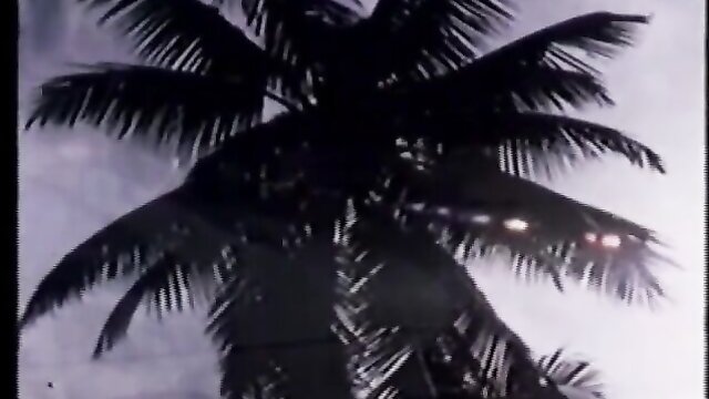 watch karibische frühlese get drilled hard by a big white cock in outdoor action : Wara Film