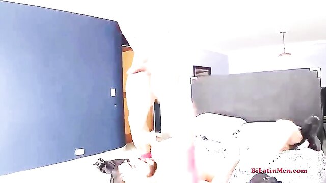 amateur, sucking, homemade - anal stud blowjob