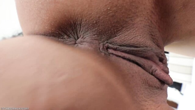 Harley Haze - harley haze solo