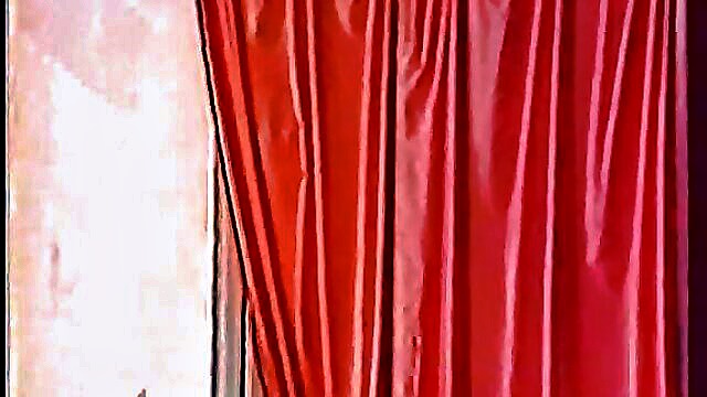 retro porn action : The Classic Porn