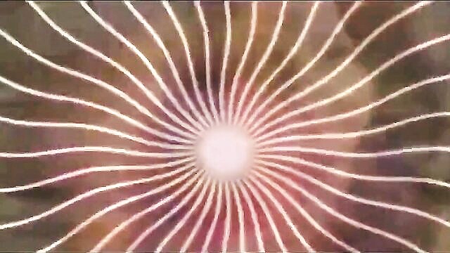shemales, hardcore, sissy - hypno sissy princess relaxes with intense faggot hypnosis