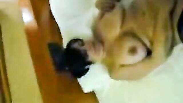 hairy mature italian slut rubbing her pussy amateur : ama