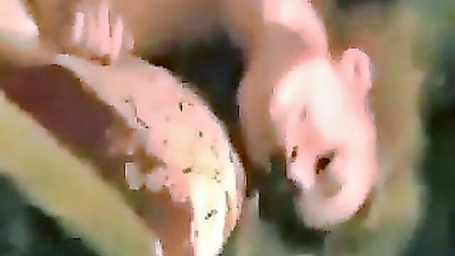 babe fuck, exgirlfriend, babes sex - hot babe gets fucked with sex toys wwwxxx videos
