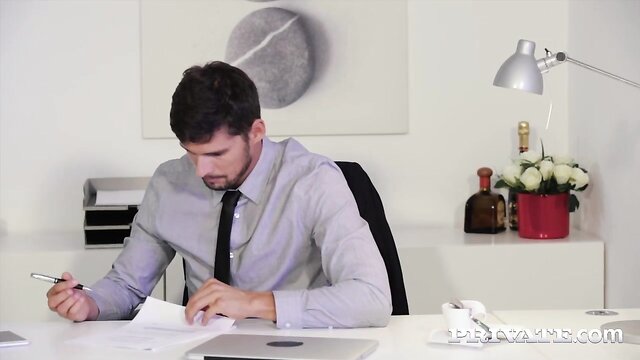 Barbara Bieber - european babe barbara bieber gets naughty with her boss Ara