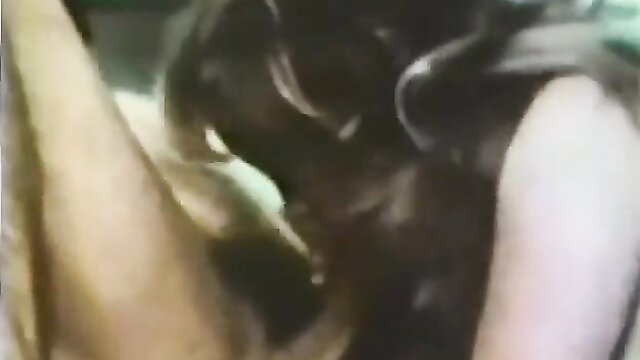 orgasmic splendid collection : Collection Film