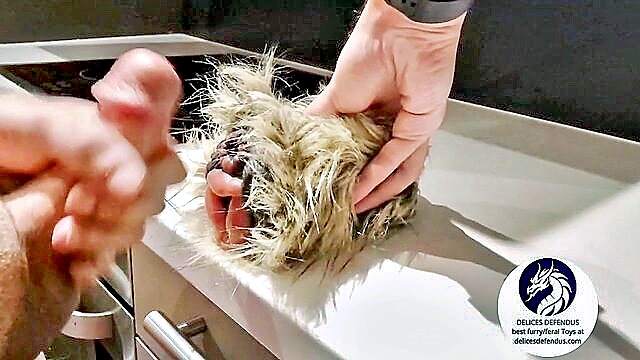 homemade, uncategorized, amateur - furry sex toy anal
