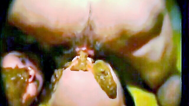 creampie, anal, bukkake - kit kat club anal