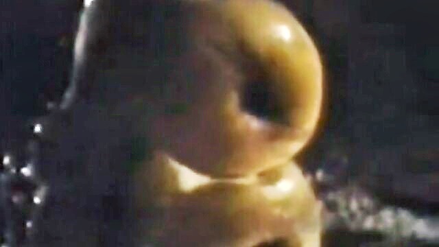 adam and yves blowjob : Bijou Video