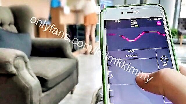 remote control, remote vibrator, public - korean adult toy
