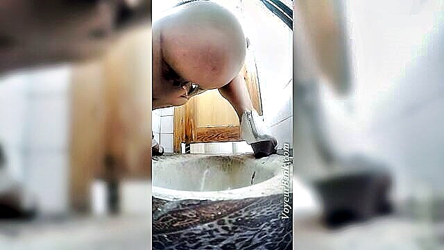 voyeur bank toilet : Voyeur Bank