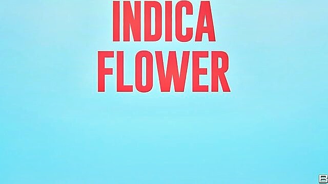 Indica Flower, Lucy Foxx, JMac - brazzers extra big tits