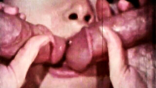 stewardess porn vintage : O.Z. Films