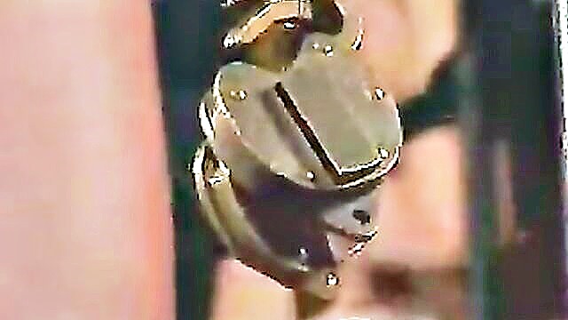 pussy torture, pussy, cage - cage porn