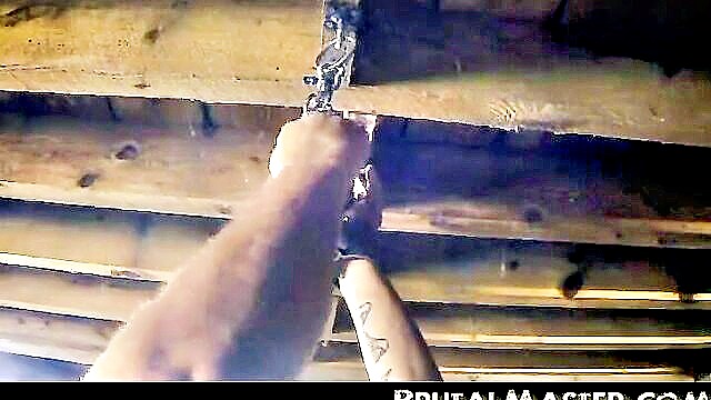 pain, brutal master, brutal - brutal master pig whipping