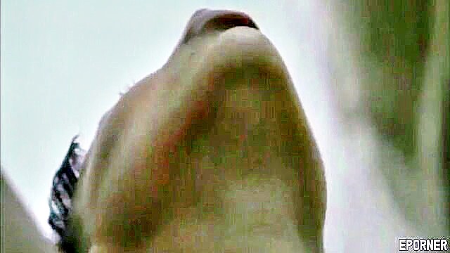 big tits, brunette, anal - busty ass secrets