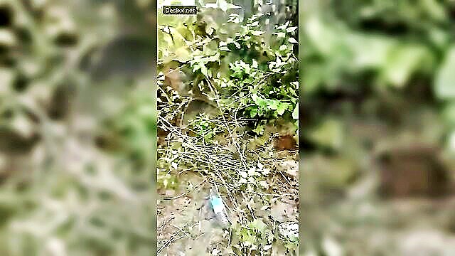 indian, indian leaked, daughter - indian housewife leaks like a waterfall