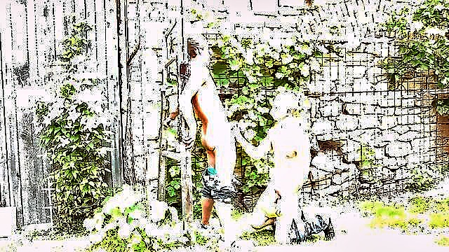 desire, handjob, outdoor - outdoor handjob oral