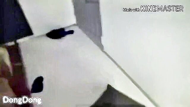 groupsex, korean, asian - korean trainee orgy