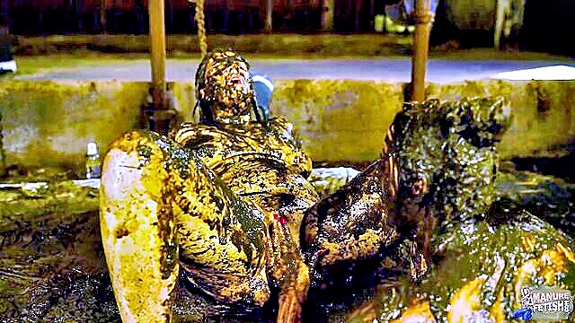 scat, dung, cow - scatty german slut orgy
