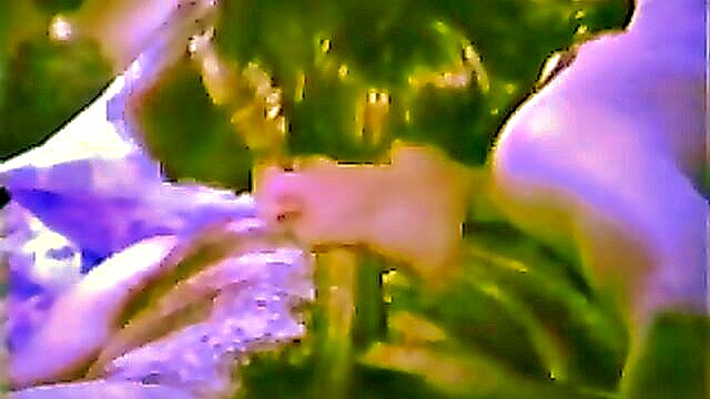 70's, feature, classic - danni rivers wet pussy