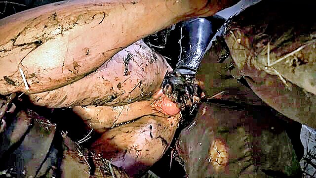 horror porn, prolapse, anal - prolapshorrorlordpeckerclaw