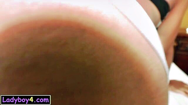 tiny thai ladyboy fucked : LadyboyGold