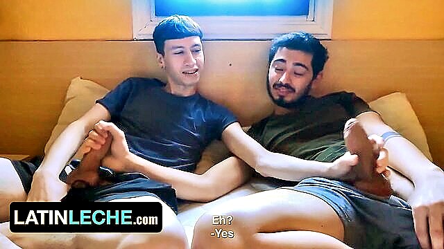 Cesar Rose - latin hotel breeding adventure