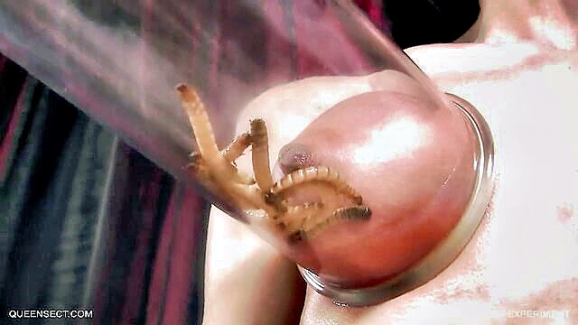 Queensnake - queensnake worm fuck