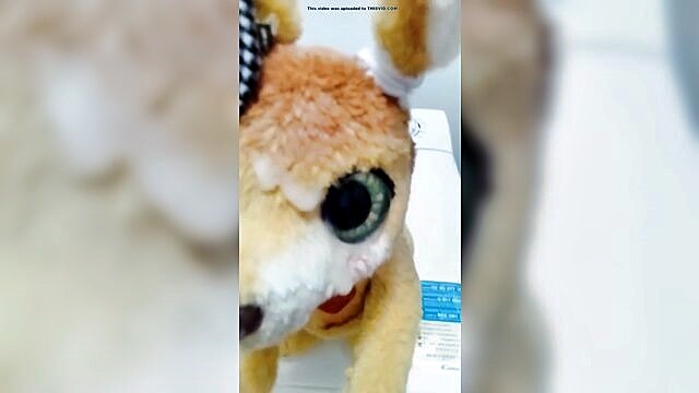 cum, gay blowjob - kangaroo cum furreal