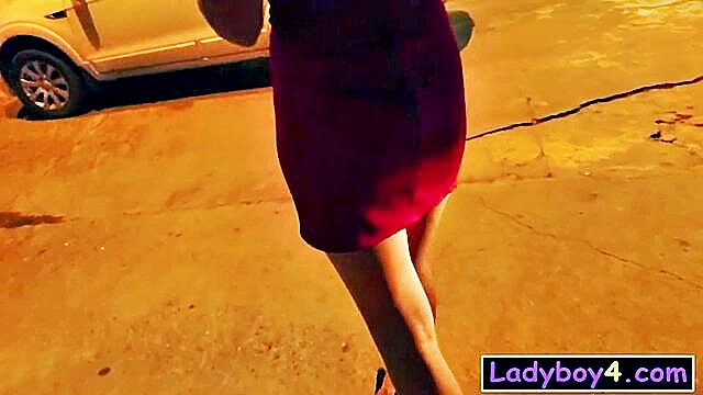 Ladyboy Natty - natty big tits anal